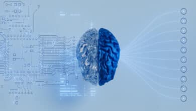 AI Adversarial Training