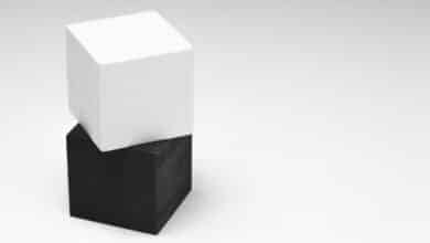 White Box, Black Box